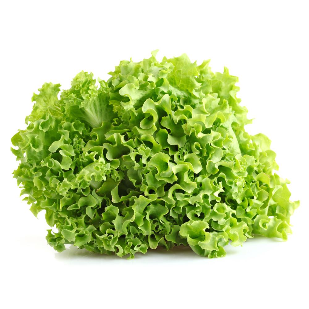 Alface-Crespa-Verde-Organica.jpg