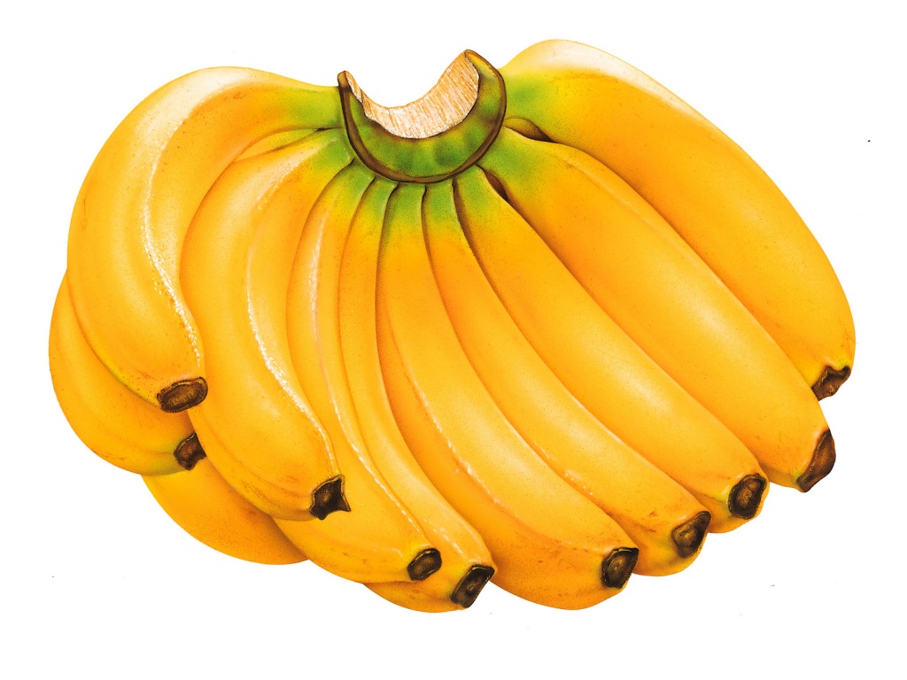 banana-100.jpg
