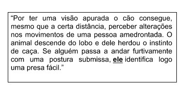 texto-7.PNG